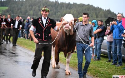 Emotionaler Empfang für Moser Michael in seiner Heimat