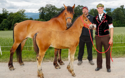 Moser auf Rang 2c und weitere super Resultate am Seeländischen